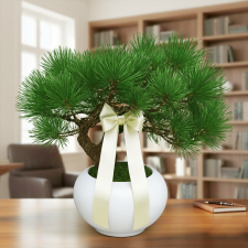 소나무분재(흰분)