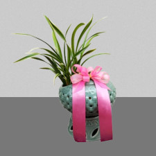 대국도자기난1호