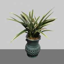 황금일향금(청자투각분)