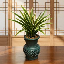 황금일향금(청자투각분)