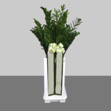 금전수3호[흰분]