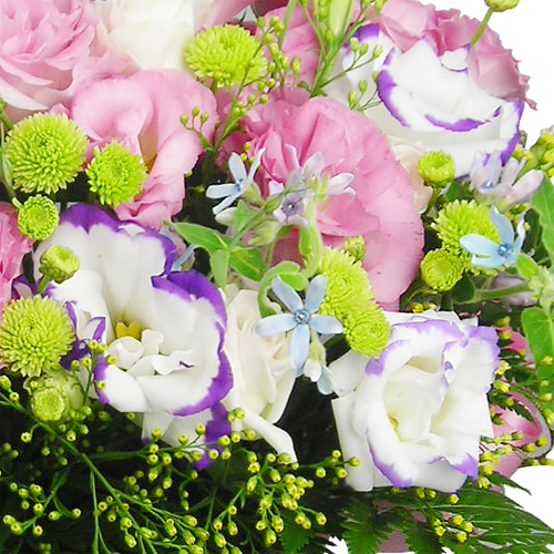 DSCN0554_500_상세2.jpg
