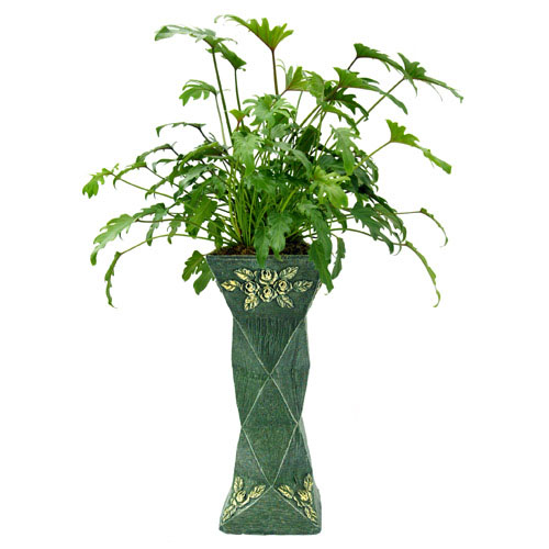 PLANT0025.jpg